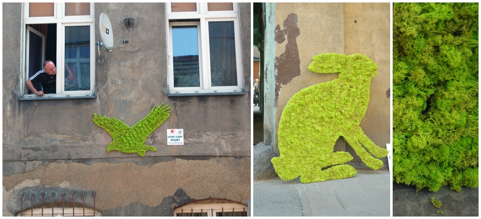zielone ślady natury, moss graffiti, instalacje z mchu